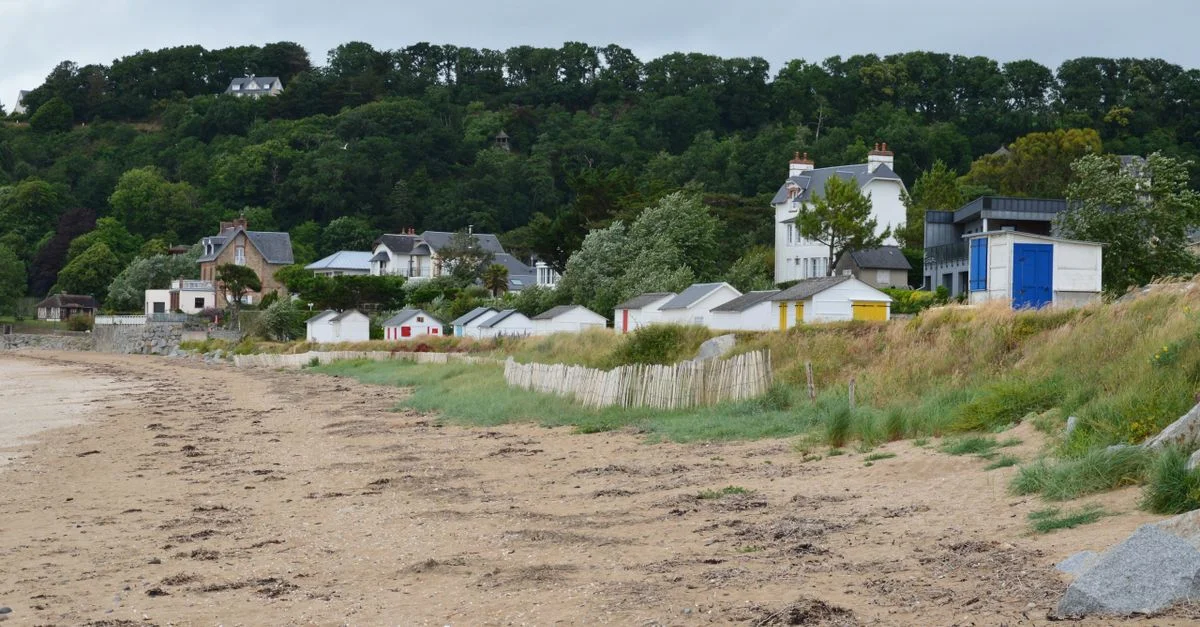 Charmants cottages côtiers le long d'une plage paisible avec une végétation luxuriante.