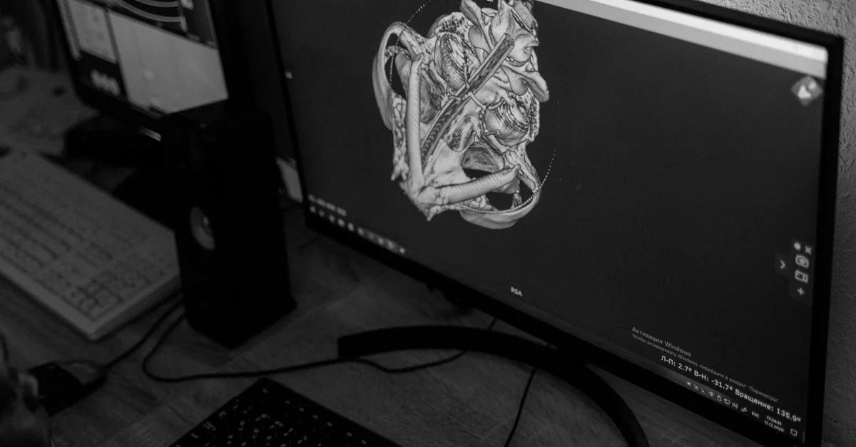 Une image en noir et blanc d'un crâne sur un écran d'ordinateur dans un espace de travail.